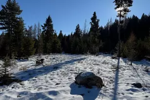 94 Grafton Rd, Tonasket, WA 98855 - Photo 12