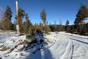 94 Grafton Rd, Tonasket, WA 98855 - Photo 14