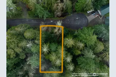 11416 86th Street Ct, Anderson Island, WA 98303 - Photo 2