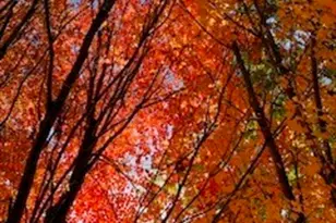 2720 NW Cascade Ave, East Wenatchee, WA 98802 - Photo 36