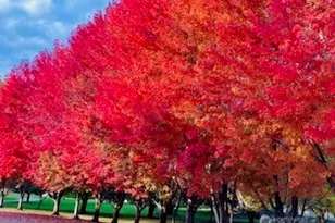 2720 NW Cascade Ave, East Wenatchee, WA 98802 - Photo 34