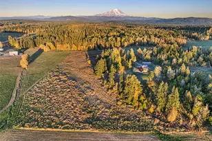 42524 Dean Kreger Rd E, Eatonville, WA 98328 - Photo 40