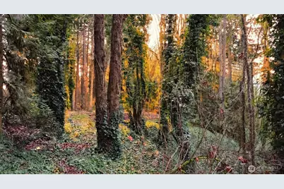 7017 NE 132, Kirkland, WA 98034 - Photo 10