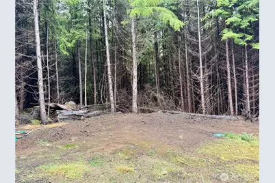 97 Dempsey Creek Lane, Aberdeen, WA 98520 - Photo 4