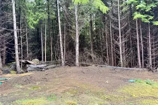 97 Dempsey Creek Ln, Aberdeen, WA 98520 - Photo 4