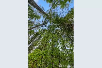 1341 N Potlatch Drive, Hoodsport, WA 98548 - Photo 18