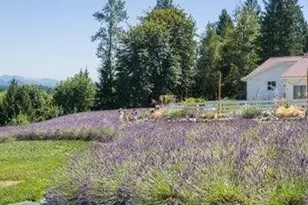20129 Tveit Rd, Arlington, WA 98223 - Photo 2