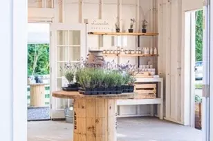 20129 Tveit Rd, Arlington, WA 98223 - Photo 24