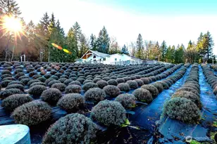 20129 Tveit Rd, Arlington, WA 98223 - Photo 28