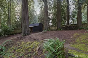 16809 NE 137th Ave, Brush Prairie, WA 98606 - Photo 34