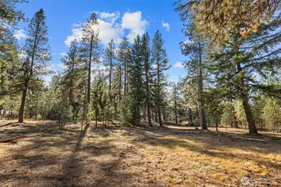 101 Book Lane, Cle Elum, WA 98922 - Photo 8