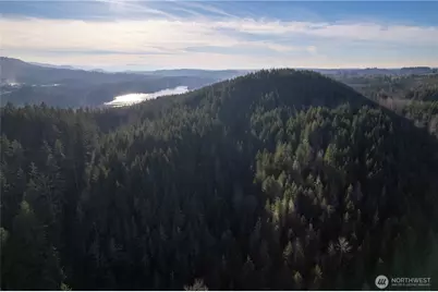 0 290.4-Ac Orville Road E, Orting, WA 98360 - Photo 14