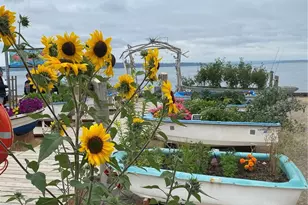 46-G Mukilteo Way, Hat Island, WA 98206 - Photo 38