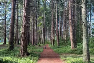 46-G Mukilteo Way, Hat Island, WA 98206 - Photo 40