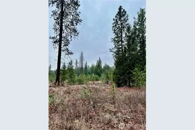 0 40Tbd Hwy 25 N, Northport, WA 99157 - Photo 2