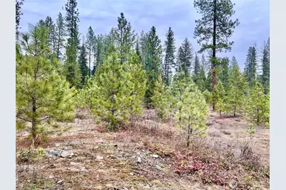 0 40Tbd Hwy 25 N, Northport, WA 99157 - Photo 6