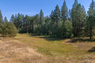 36321 S Bootstrap Ln, Cheney, WA 99004 - Photo 8