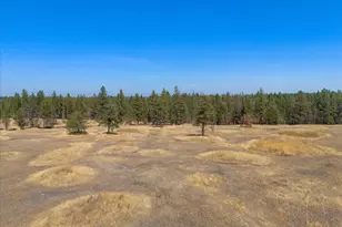 36377 S Bootstrap Ln, Cheney, WA 99004 - Photo 8