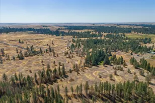 36377 S Bootstrap Ln, Cheney, WA 99004 - Photo 10