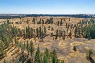 36377 S Bootstrap Ln, Cheney, WA 99004 - Photo 12