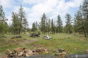 35315 S Bootstrap Ln, Cheney, WA 99004 - Photo 24