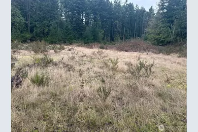 0 Kramer Road, Langley, WA 98260 - Photo 8