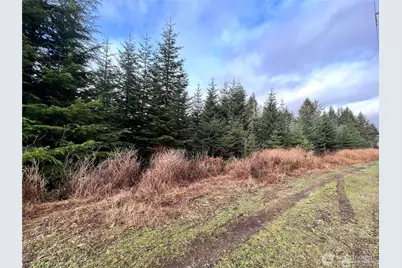 0 Hwy 101, Cosmopolis, WA 98537 - Photo 6