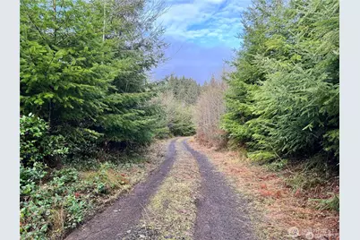 0 Hwy 101, Cosmopolis, WA 98537 - Photo 2