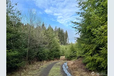 0 Hwy 101, Cosmopolis, WA 98537 - Photo 4