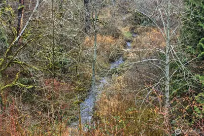 6117 Ames Lake Carnation Road NE, Carnation, WA 98014 - Photo 16