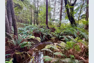 0 Copalis Beach Road, Copalis Beach, WA 98535 - Photo 10