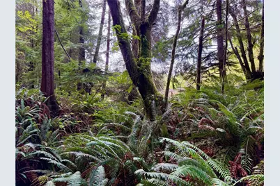 0 Copalis Beach Road, Copalis Beach, WA 98535 - Photo 8