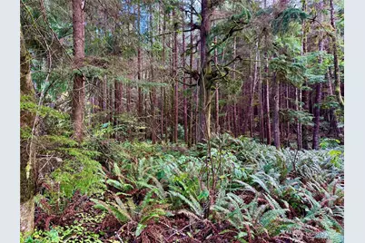 0 Copalis Beach Road, Copalis Beach, WA 98535 - Photo 6