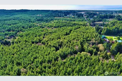 0 Copalis Beach Road, Copalis Beach, WA 98535 - Photo 24