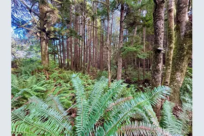 0 Copalis Beach Road, Copalis Beach, WA 98535 - Photo 14