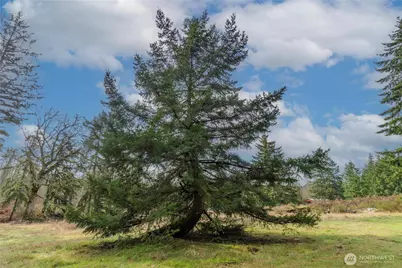 11025 Vancil Road SE, Yelm, WA 98597 - Photo 22