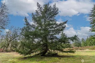 11025 Vancil Rd SE, Yelm, WA 98597 - Photo 22