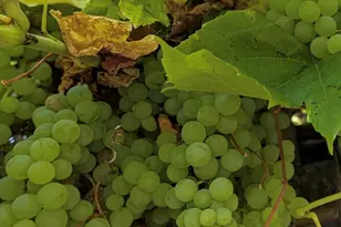 24 199th Pl SE, Bothell, WA 98012 - Photo 30