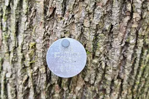 14014 41st Ave NE, Seattle, WA 98125 - Photo 18