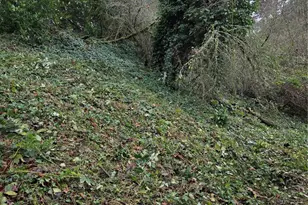 14014 41st Ave NE, Seattle, WA 98125 - Photo 6