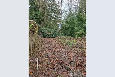 14014 41st Avenue NE, Seattle, WA 98125 - Photo 2