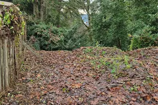 14014 41st Ave NE, Seattle, WA 98125 - Photo 2