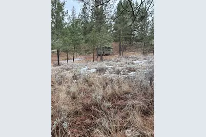 315 Reevas Basin Road, Tonasket, WA 98855 - Photo 24