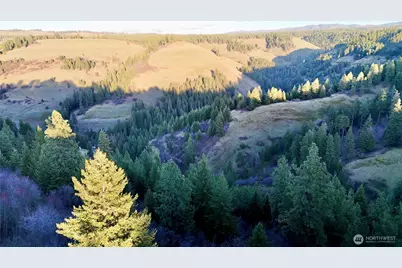 0 Lewis Peak, Dixie, WA 99329 - Photo 12