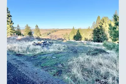 0 Lewis Peak, Dixie, WA 99329 - Photo 2
