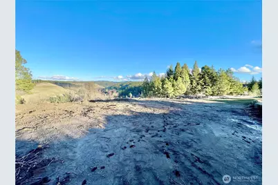 0 Lewis Peak, Dixie, WA 99329 - Photo 6