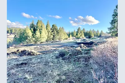 0 Lewis Peak, Dixie, WA 99329 - Photo 8