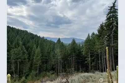 57 Slippery Hill Lane, Republic, WA 99166 - Photo 24