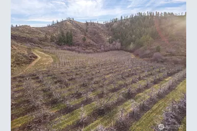0 Tigner Road, Cashmere, WA 98815 - Photo 8