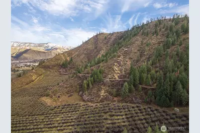 0 Tigner Road, Cashmere, WA 98815 - Photo 16